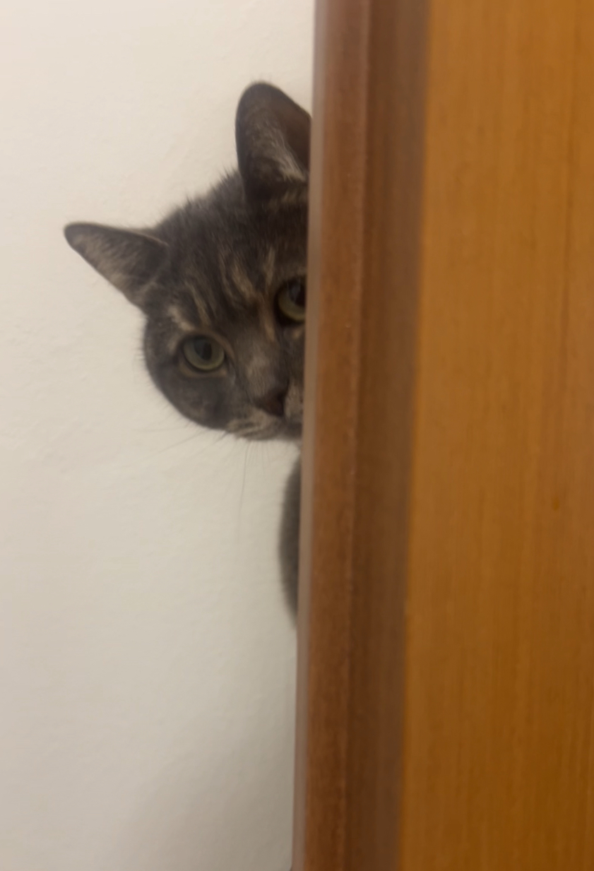 Joy durante una visita a domicilio