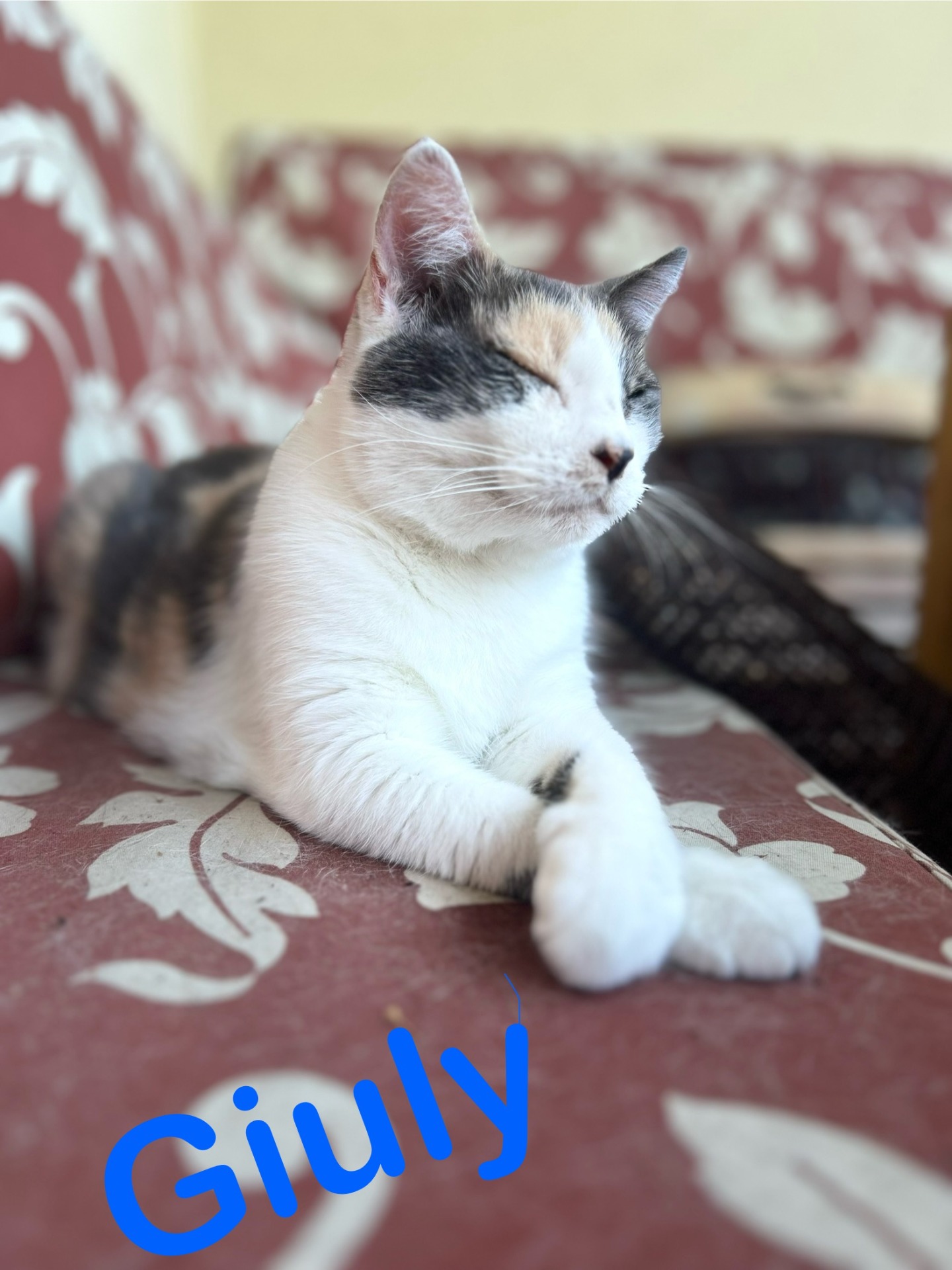 Giuly