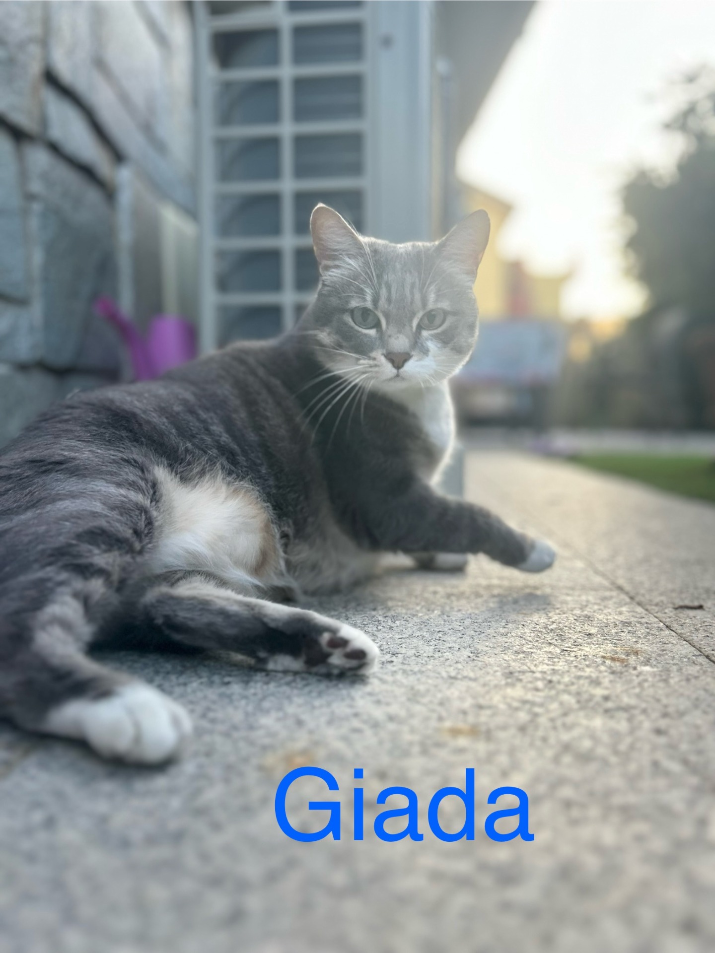 Giada