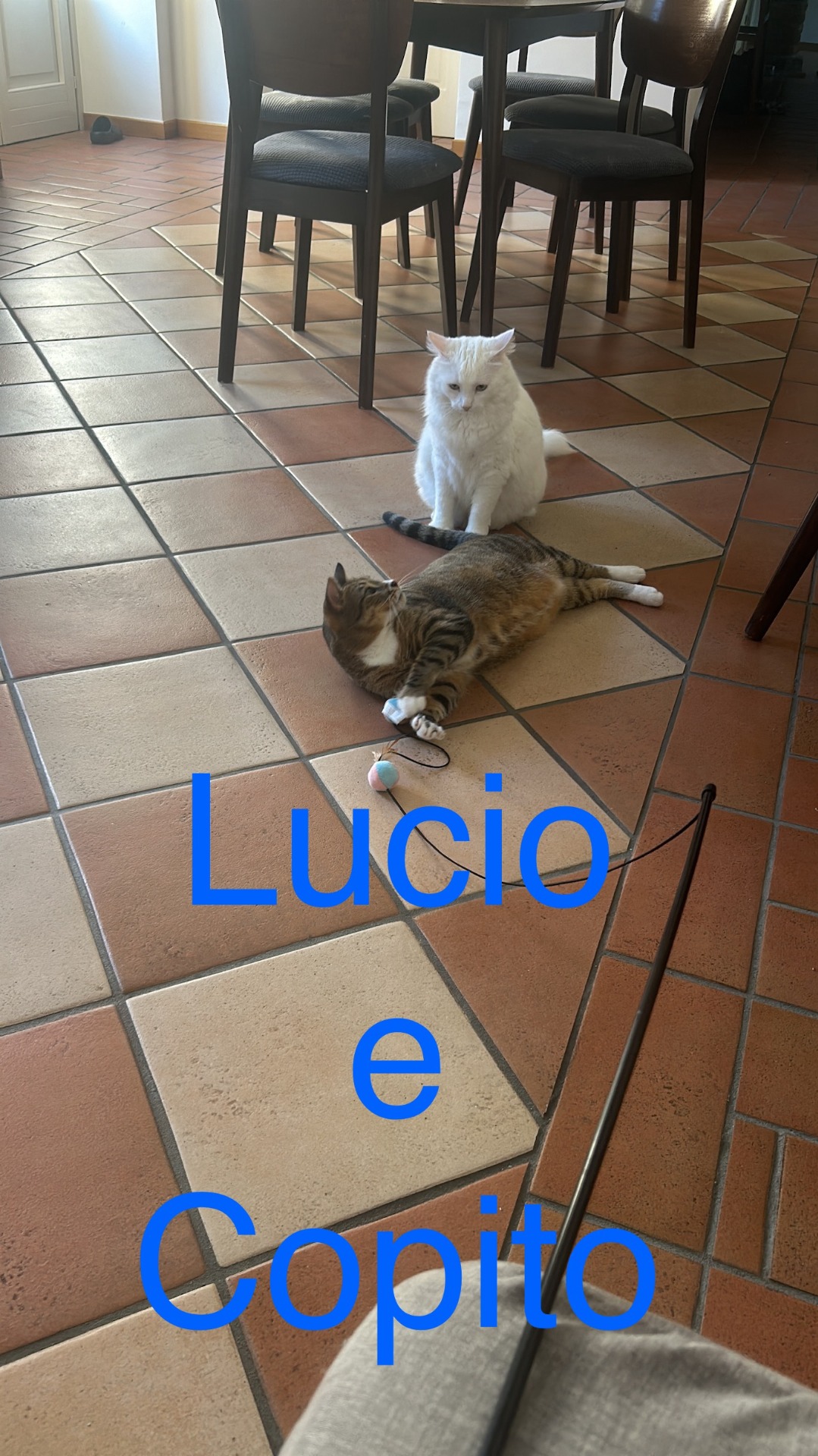 Lucio e Copito