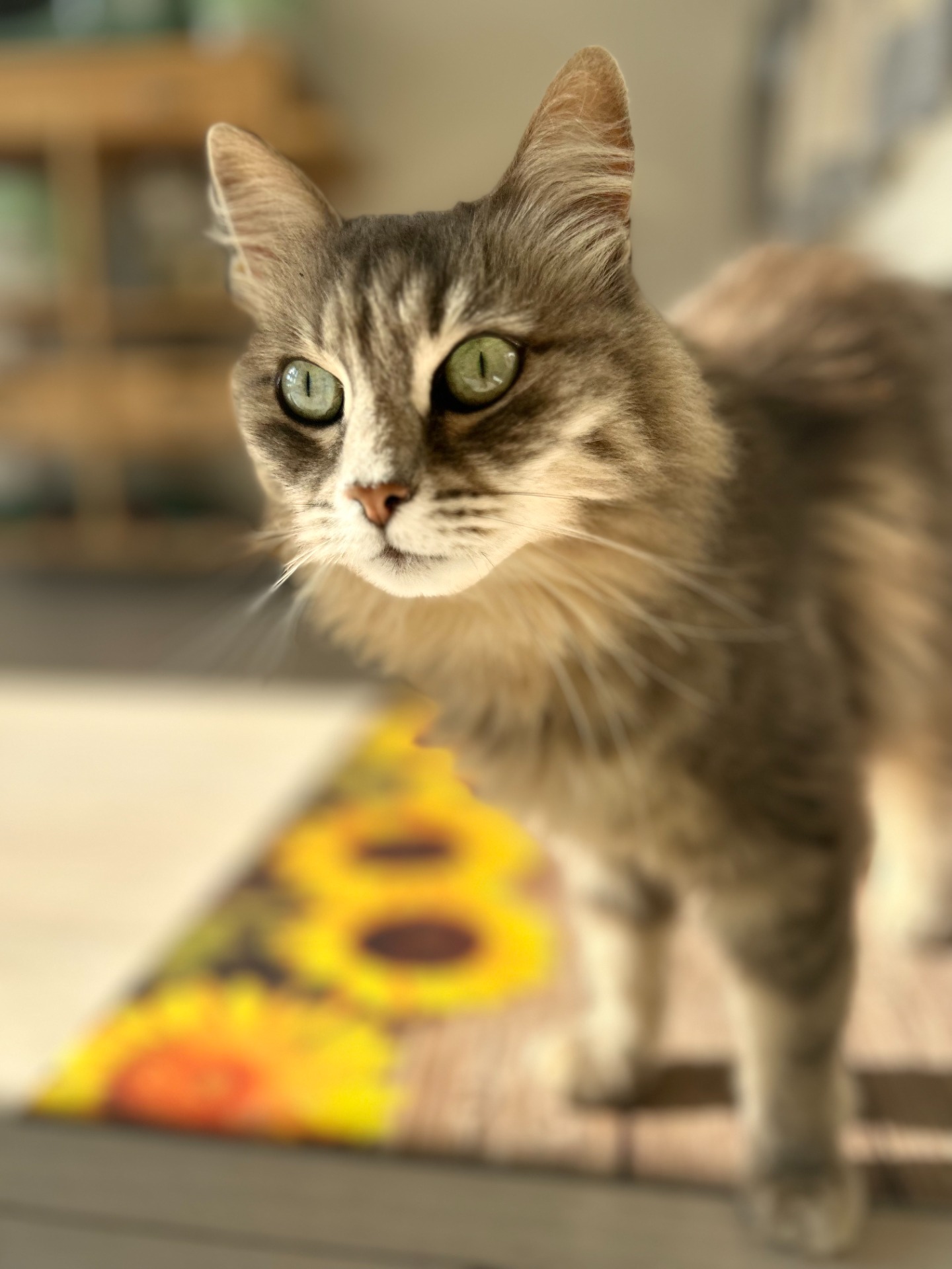 Maya