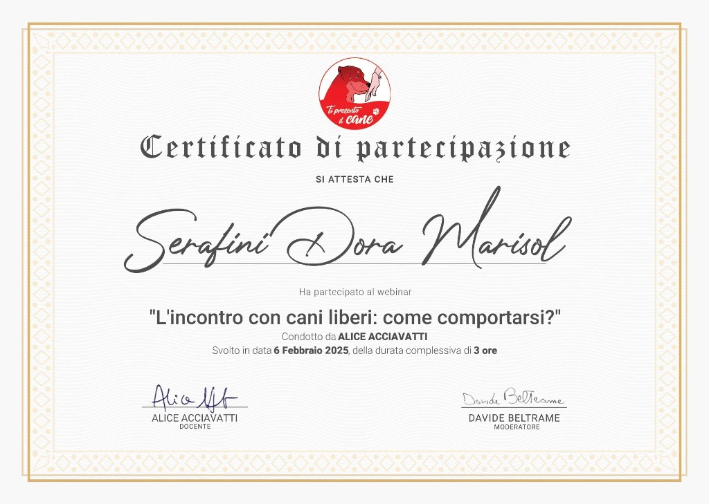 Attestato: L’incontro con cani liberi, come comportarsi? — Alice Acciavatti, 6 febbraio 2025, 3 ore