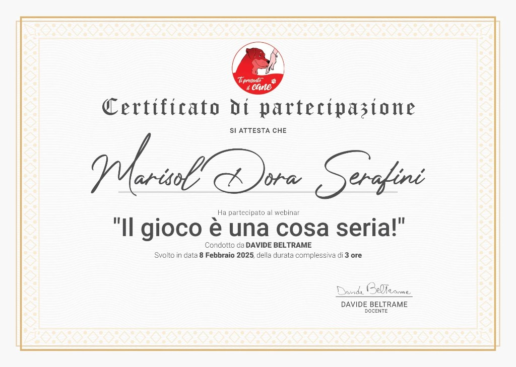 Attestato: Il gioco è una cosa seria! — Davide Beltrame, 8 febbraio 2025, 3 ore