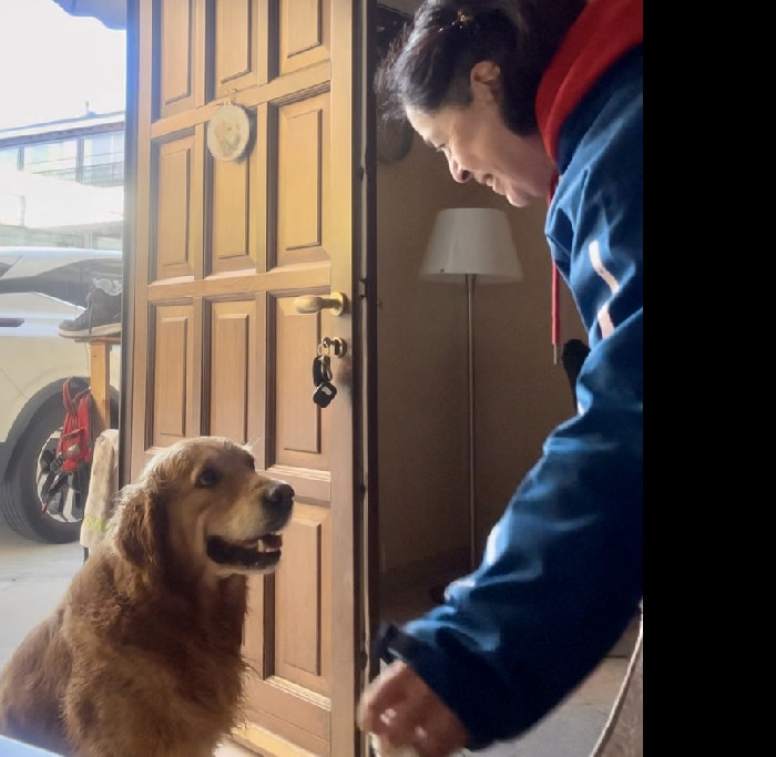 Marisol accoglie un cane sulla soglia di casa